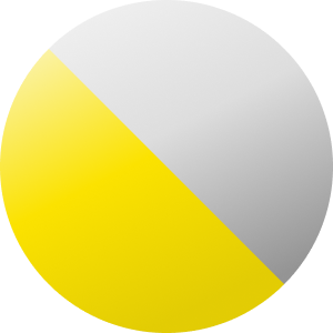 Silber / Schwarz / Gelb